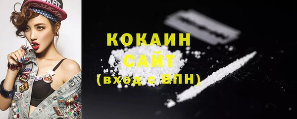 PSILOCYBIN Аркадак