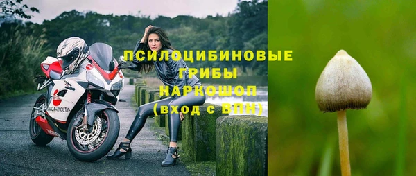 mdpv Армянск