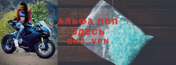 PSILOCYBIN Аркадак