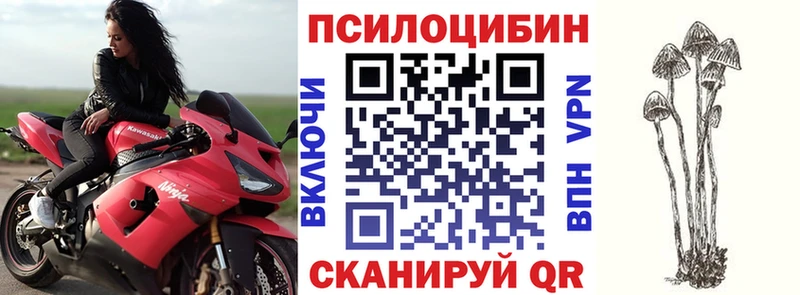 мега маркетплейс  купить наркотики цена  Валдай  Псилоцибиновые грибы Psilocybine cubensis 